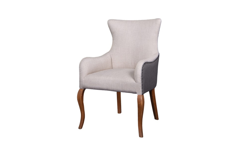 Skin Brown Armchair