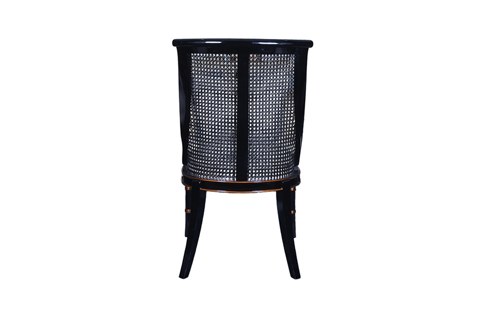 Home Decor Armchair Carol Rattan Chair Back View