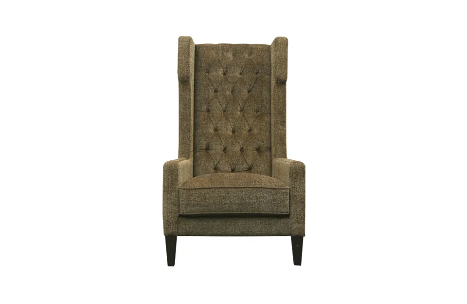 Home Decor MPS2296001 Tom Arm Chair Front View