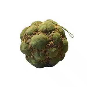 Moss Ball 58190