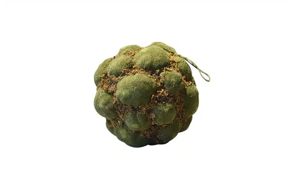 Moss Ball 58190