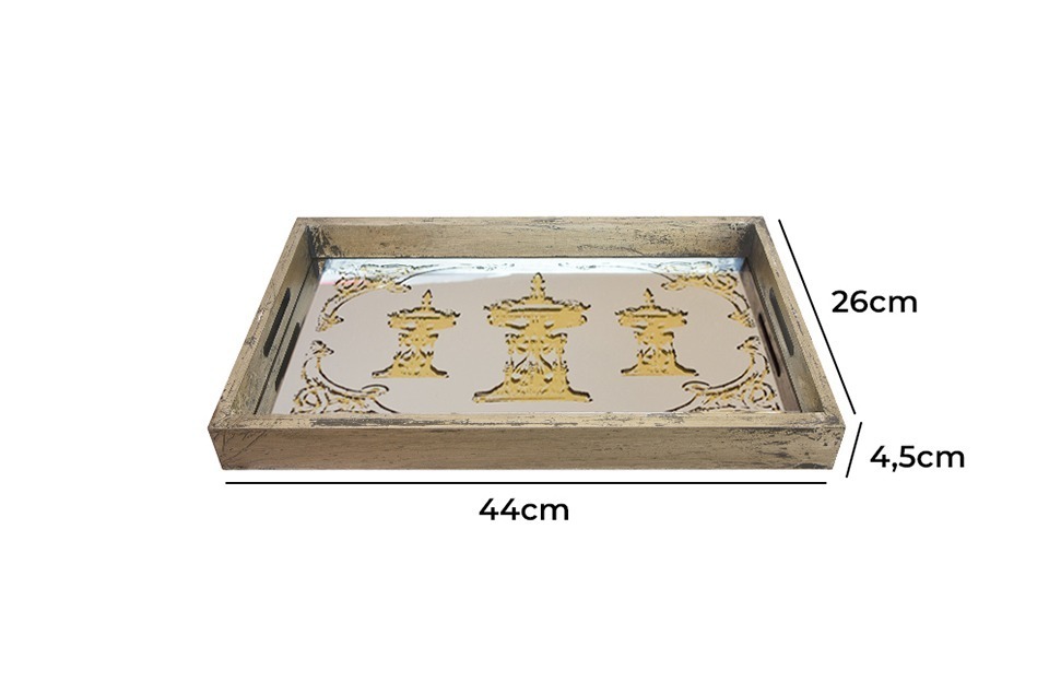 Trays 31967 CTR