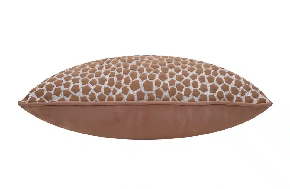 CHN200303259 Cushion