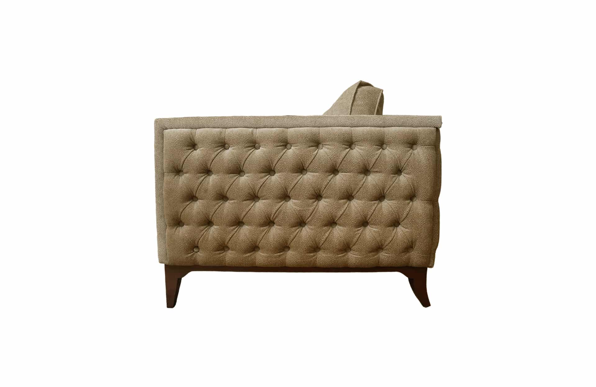 Home Decor Carryni Sofa 03 Side View