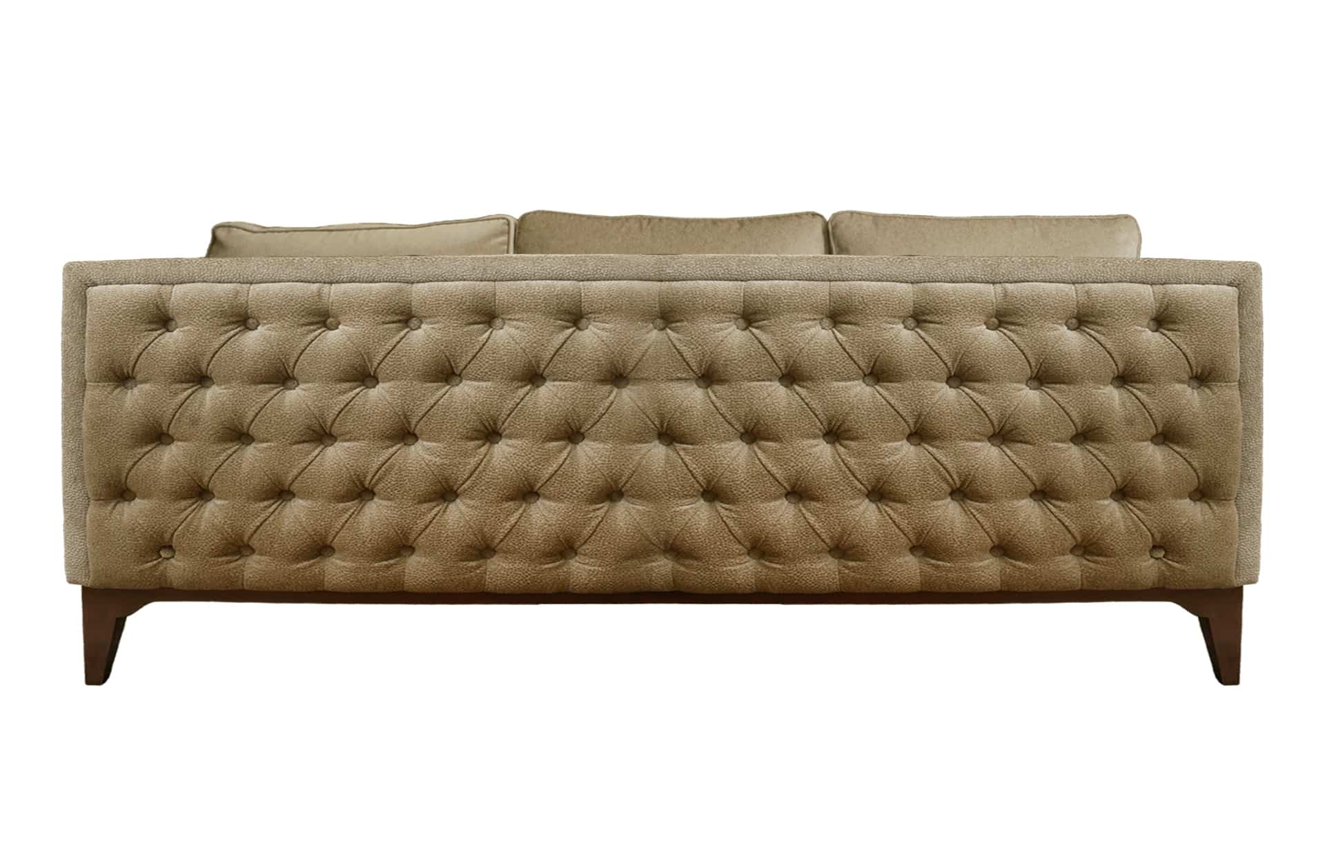 Home Decor Carryni Sofa 03 Back View
