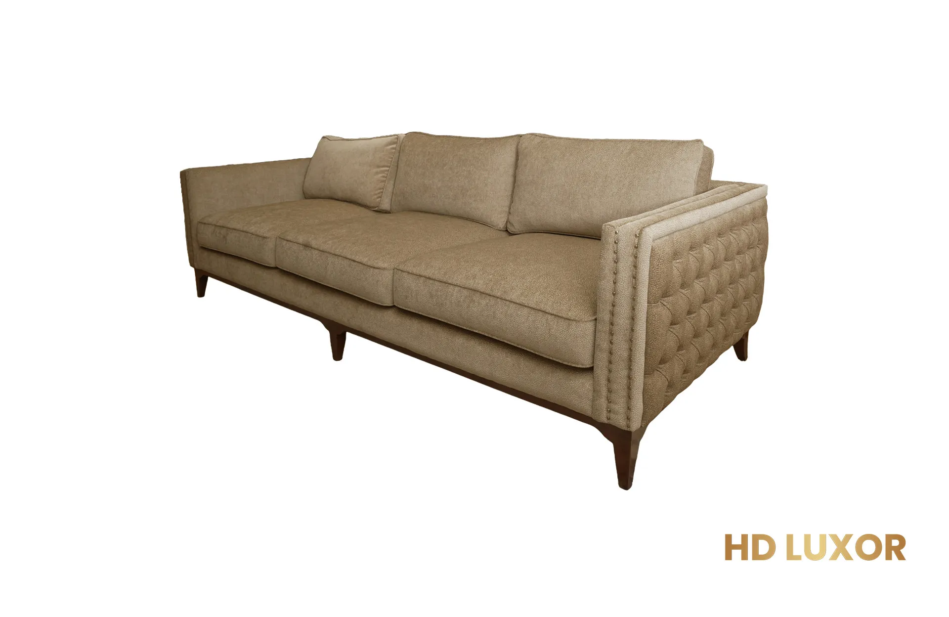 Home Decor Carryni Sofa 03 Side/Front View