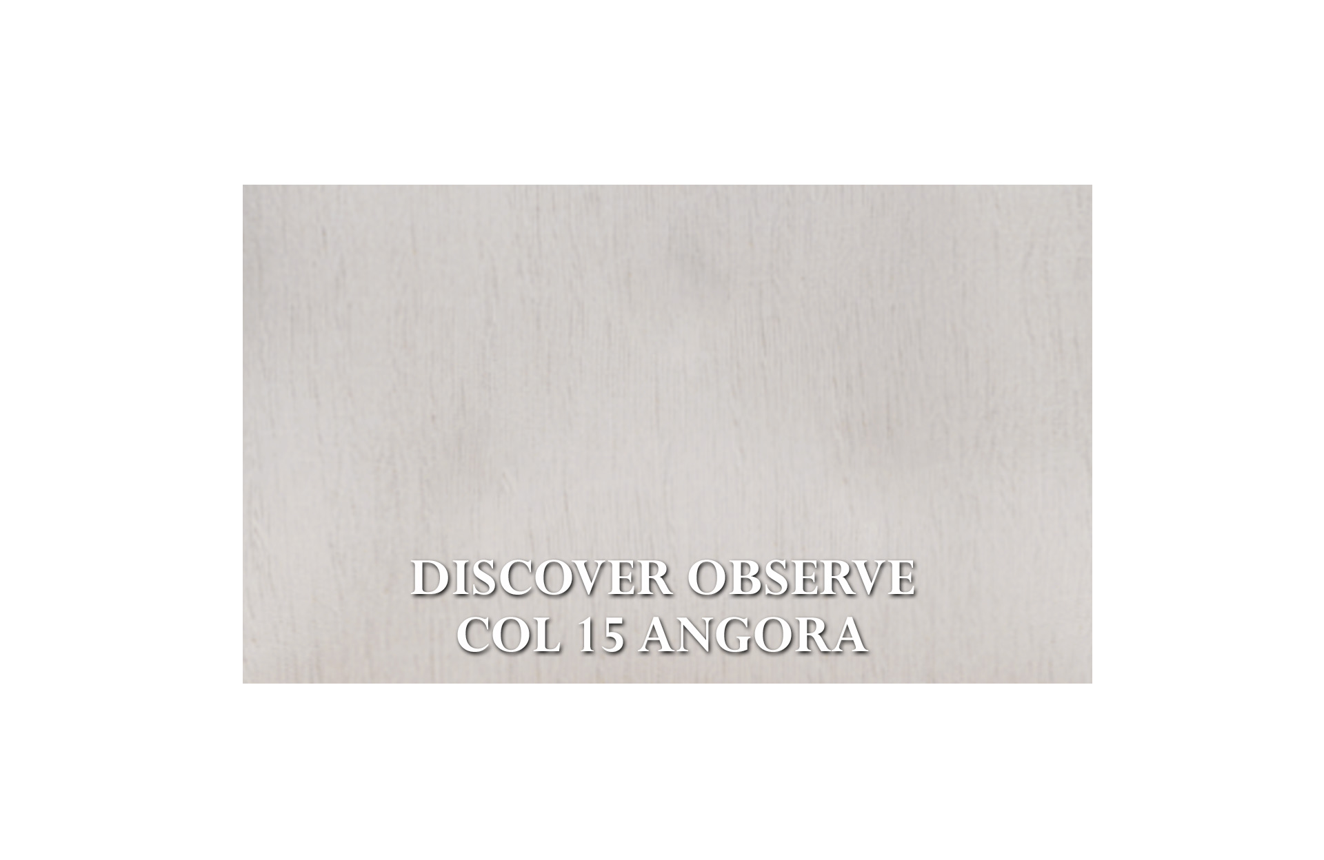 Home Decor Dining Chair Zebra Chair DO 15 Angora Fabric View DISCOVER OBSERVE COL 15 ANGORA