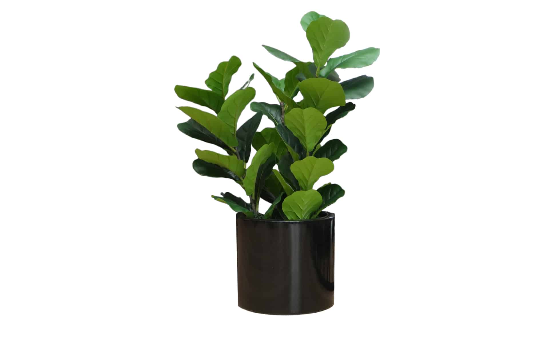 Home Decor Flower Arrangement No-67 Glossy Black Pot Plant 24 Front View