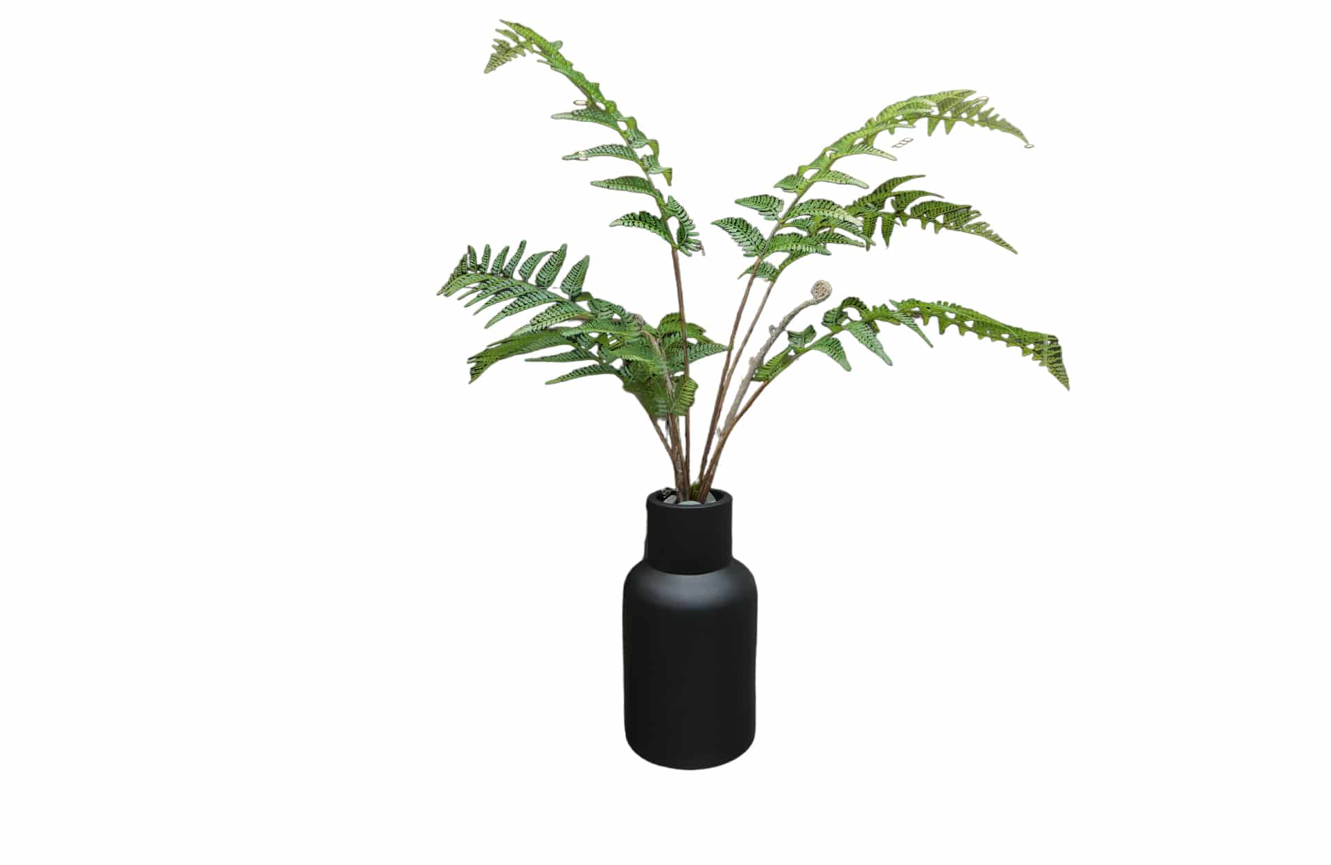Home Decor Flower Arrangement No-N Mat Black Pot Fern 24 Front View
