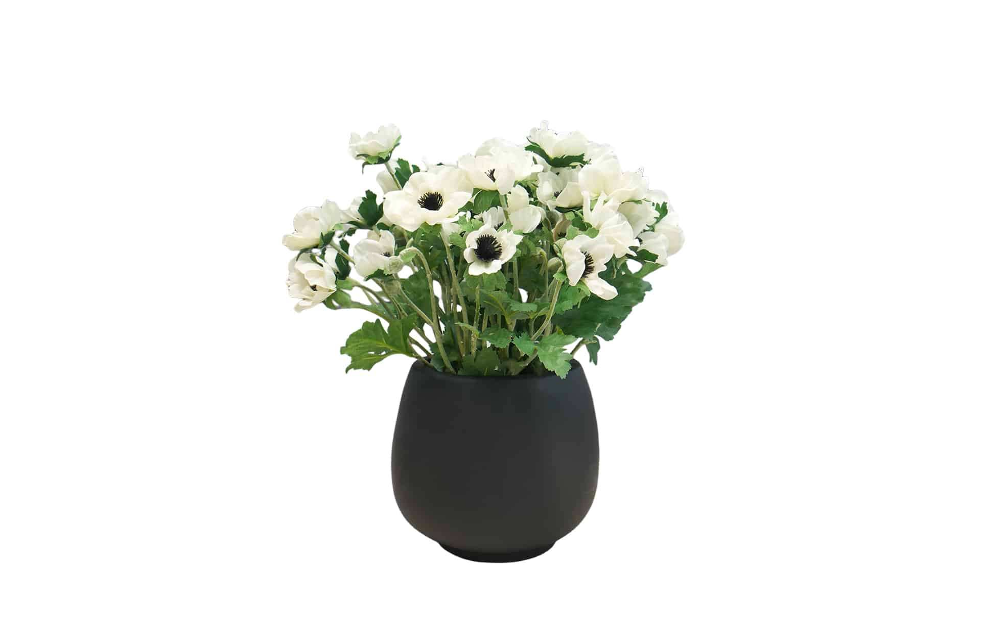Home Decor Flower Arrangement No-87 Black Mat Pot HD Annemone 24 Front View