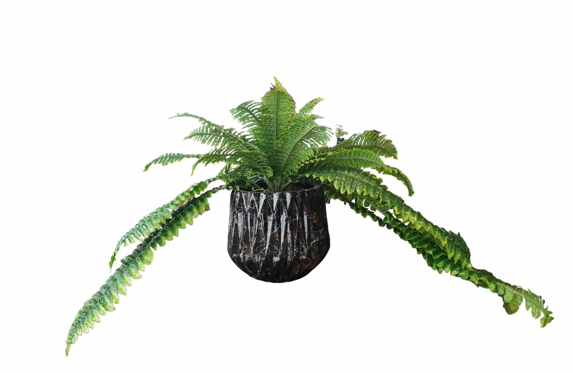 Home Decor Flower Arrangement No.51 - 022022 Geometric Black Pot Large Feen Front View