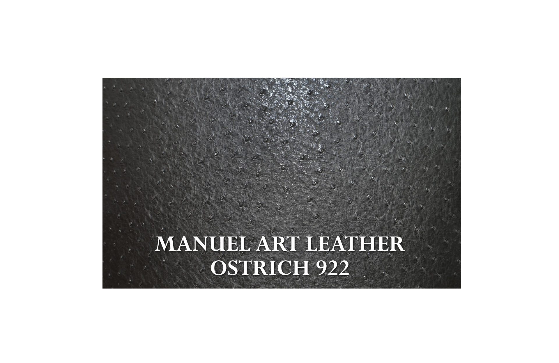 Home Decor Vanity Chair PR 02 Fabric View MANUEL ART LEATHER OSTRICH 922