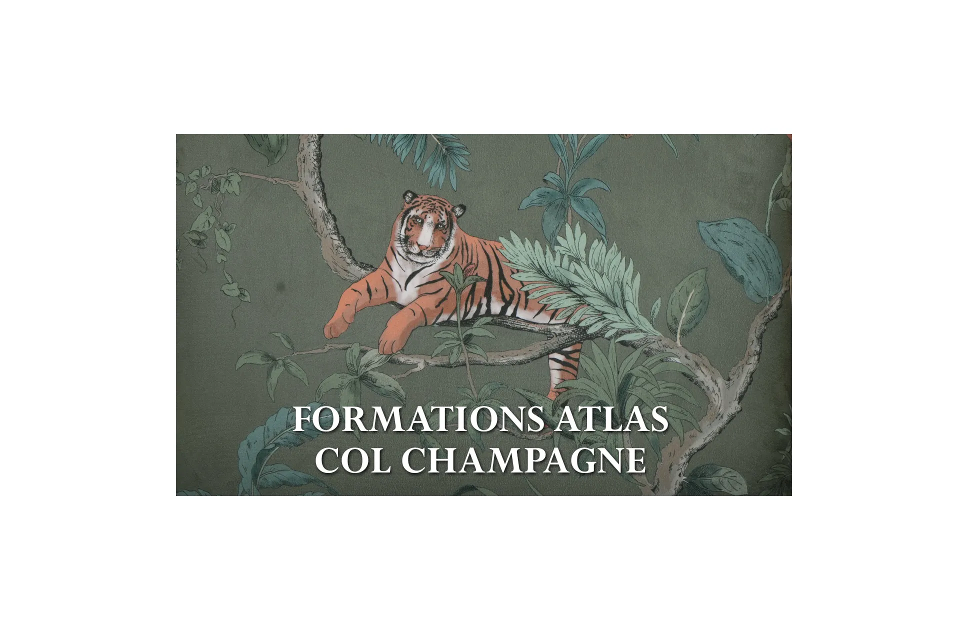Home Decor Armchair Estate Rimini Chair FA Champagne Fabric View FORMATIONS ATLAS COL CHAMPAGNE