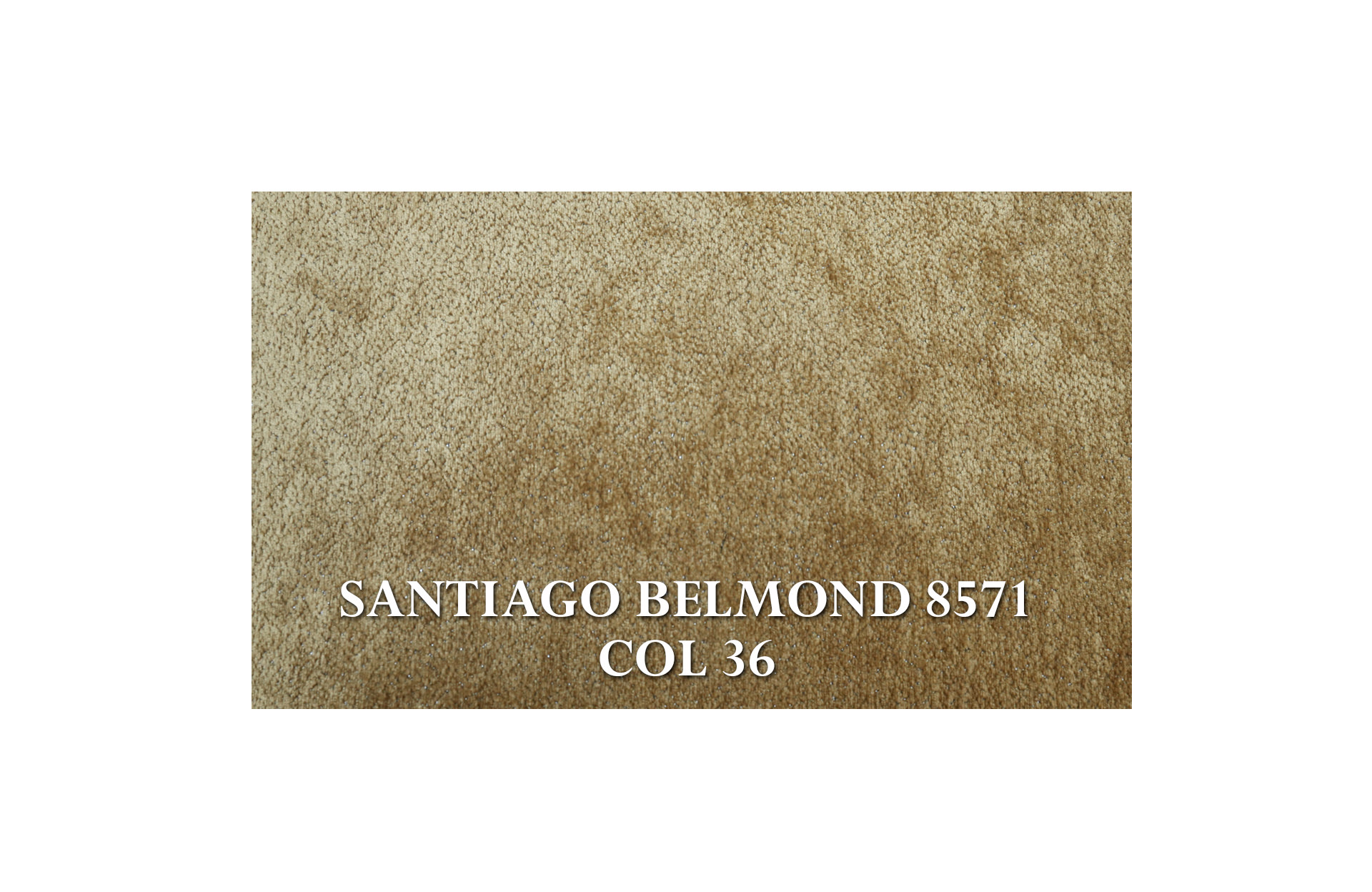 Home Decor Marigni Armless Dinning Chair SB 8571-36 Fabric view SANTIAGO BELMOND 8571 COL 36