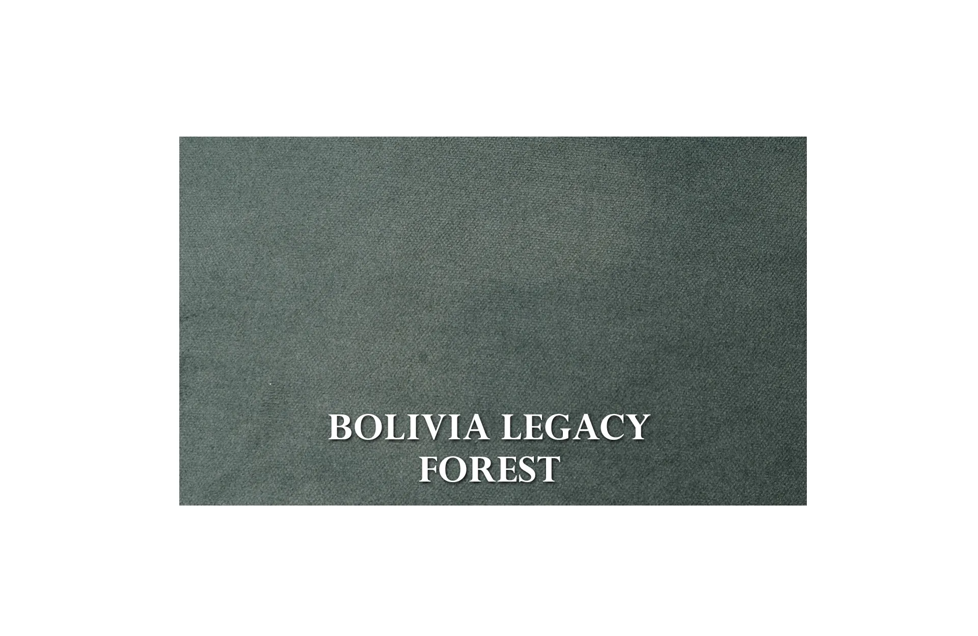 Home Decor Tresor Armchair BL Forest Fabric View BOLIVIA LEGACY FOREST