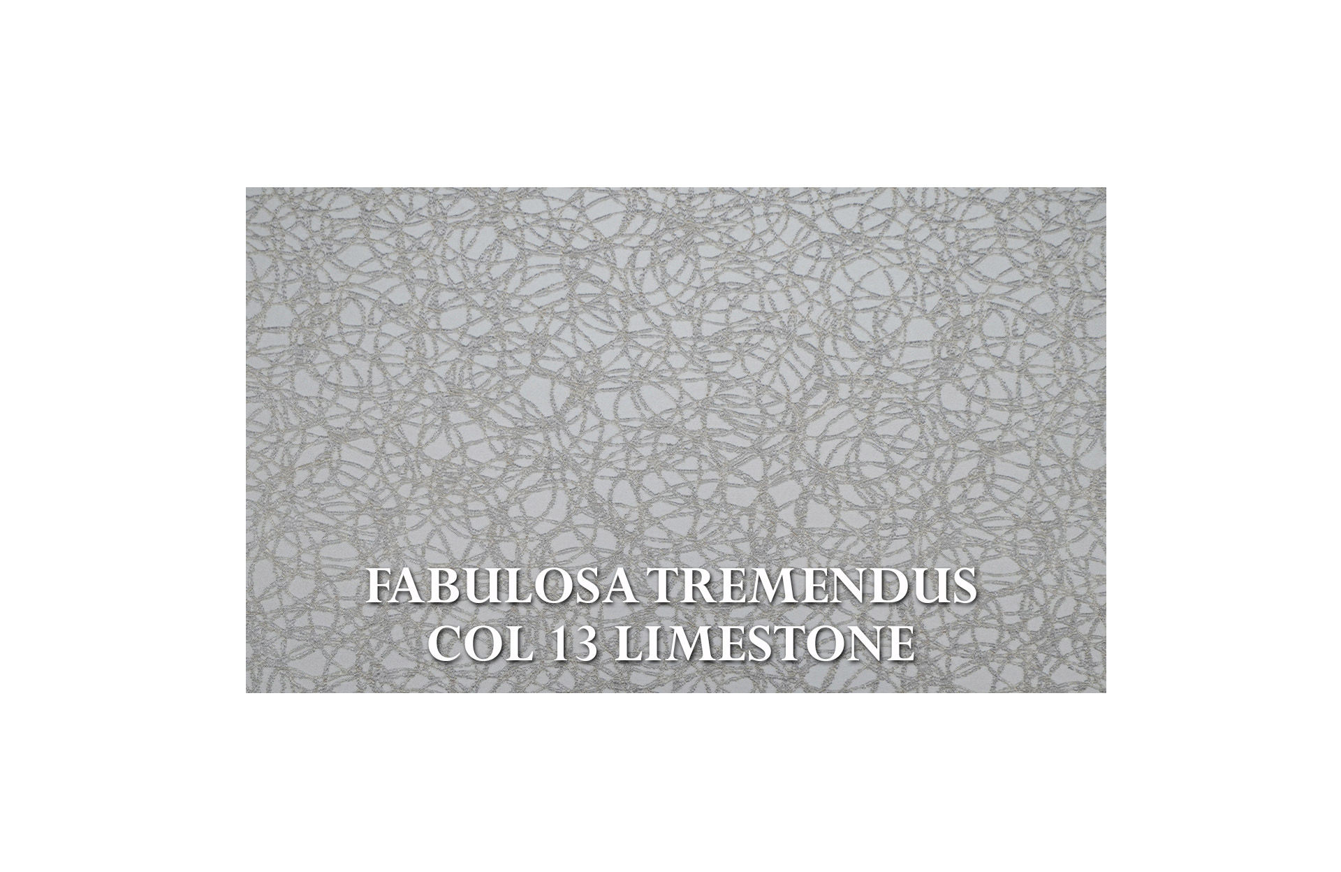 Home Decor Coryn Sofa 01 Fabric View FABULOSA TREMENDUS COL 13 LIMESTONE