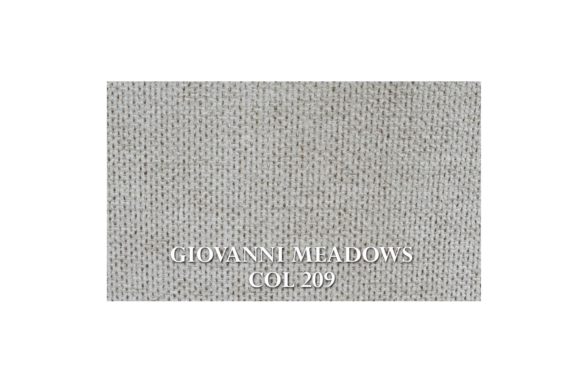 Home Decor Dining Chair Rialto Chair with Armrests R011 ( GM-209 ) Fabric View GIOVANNI MEADOWS COL 209