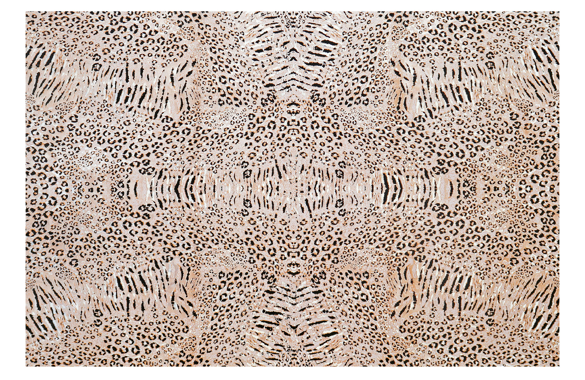 Bamboo Silk 37 Cream (250X350)