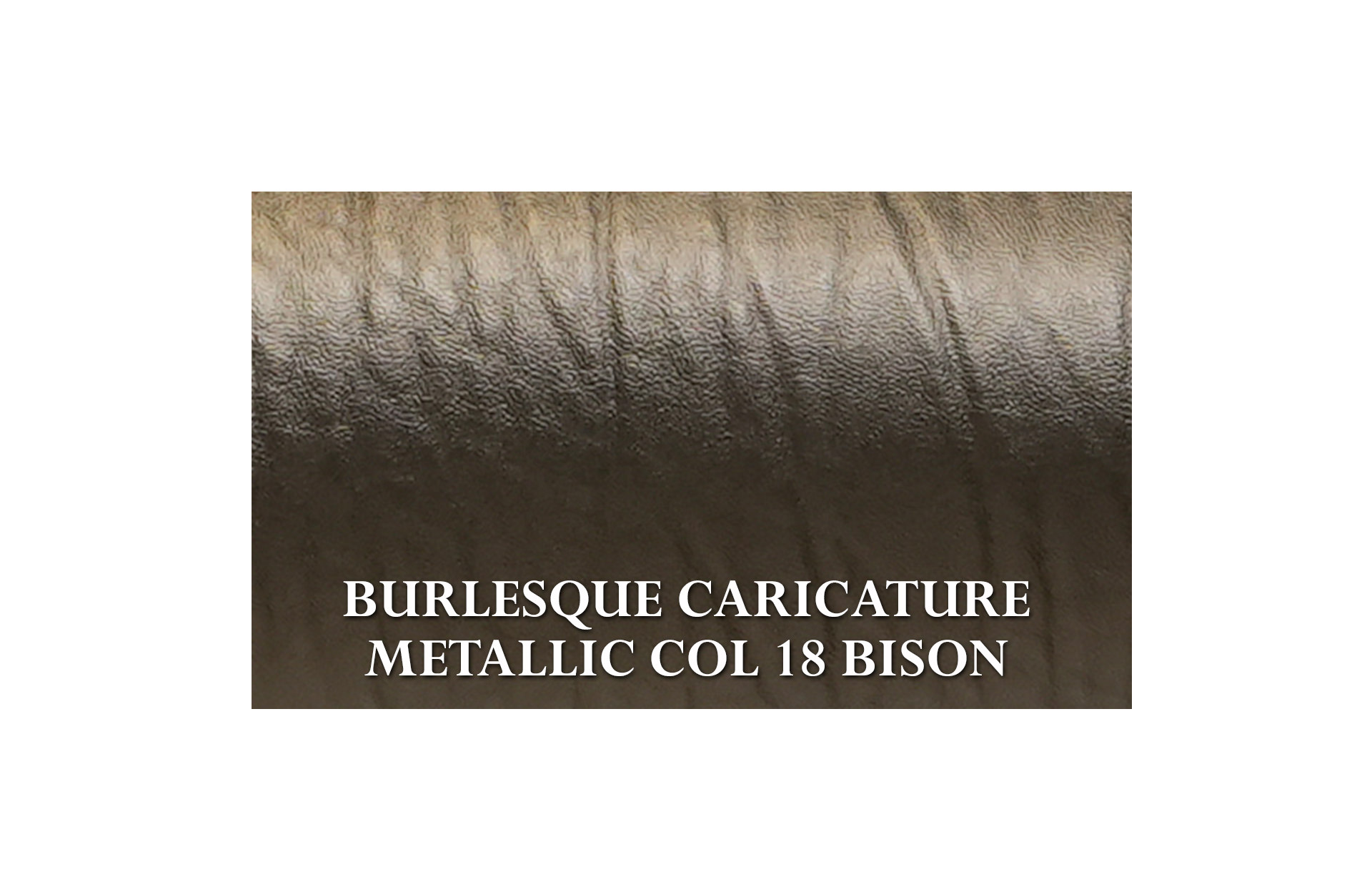 Home Decor Nolana Dining Chair BCM 18 Bison Fabric View BURLESQUE CARICATURE METALLIC COL 18 BISON