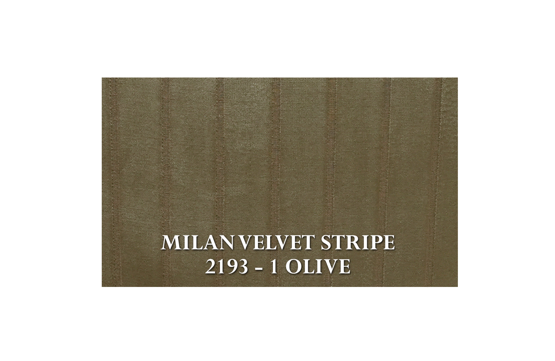 Home Decor Nolana Dining Chair BCM 18 Bison Fabric View MILAN VELVET STRIPE 2193 - 1 OLIVE