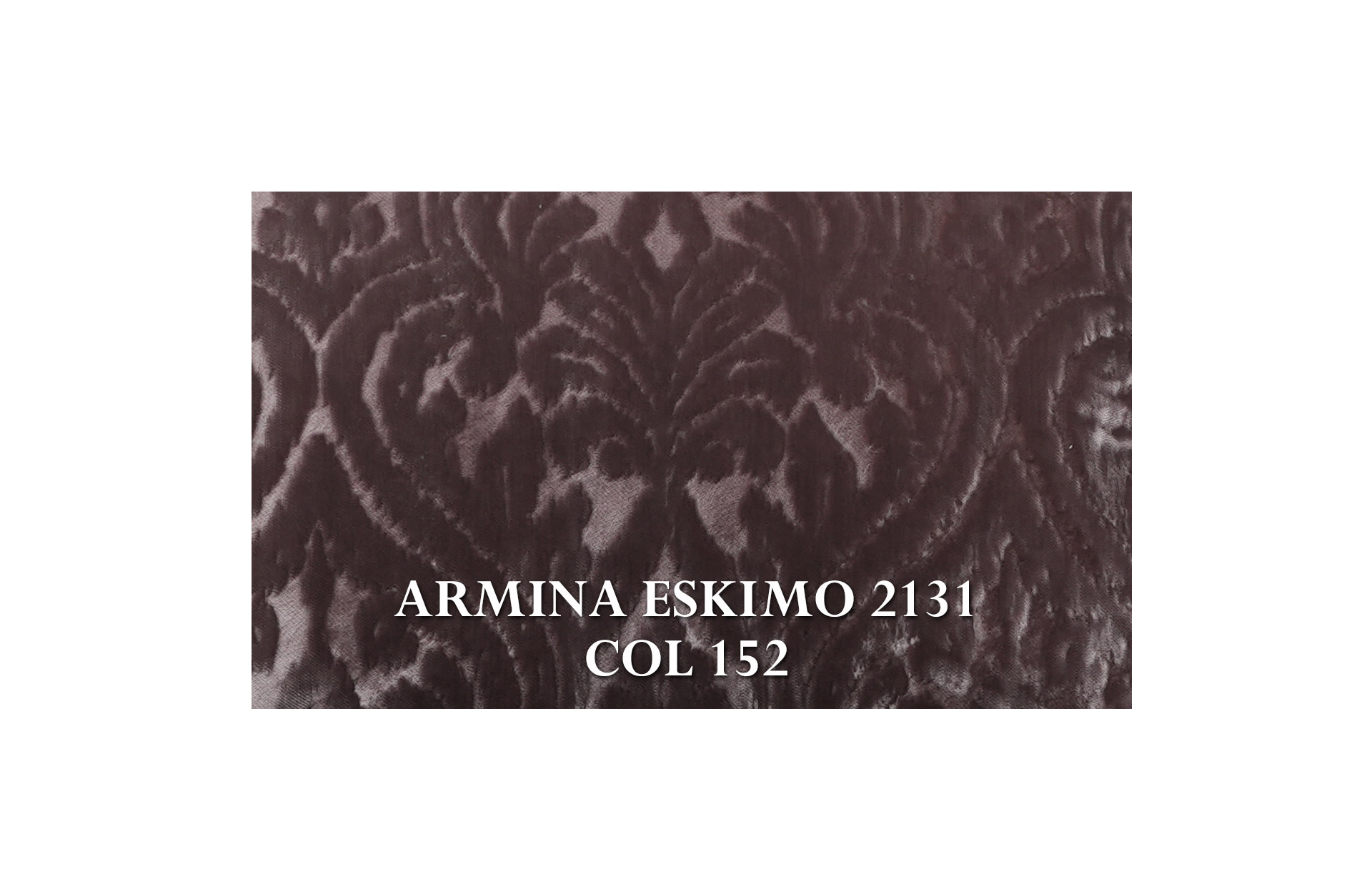 Home Decor Olympus Chair M Natural Fabric View ARMINA ESKIMO 2131 COL 152