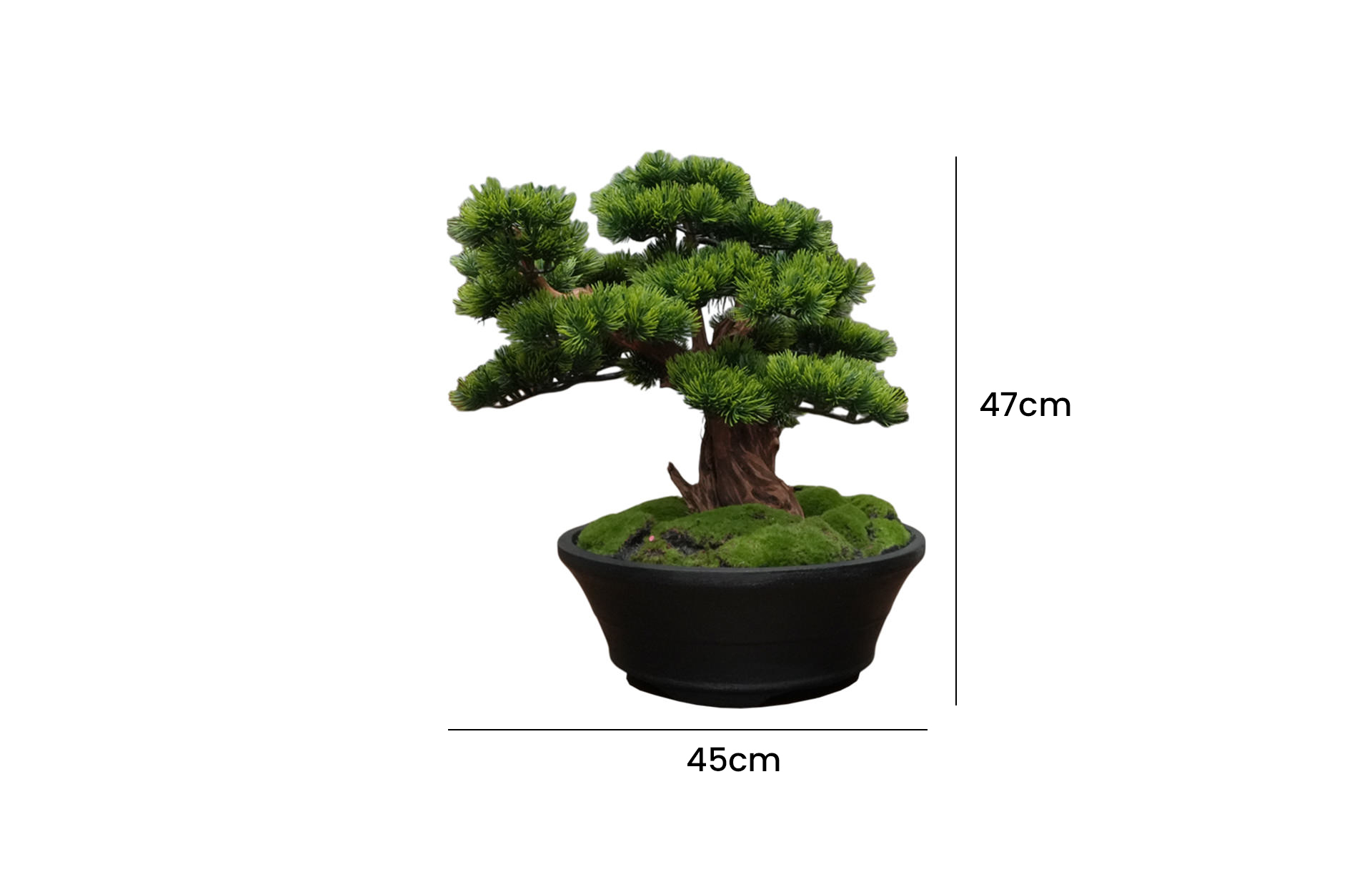Home Decor Bonsai Lohansung Front View Size