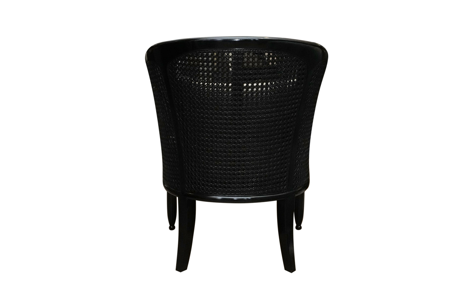 Home Decor Porto Rattan Arm Chair FC Taupe Back View
