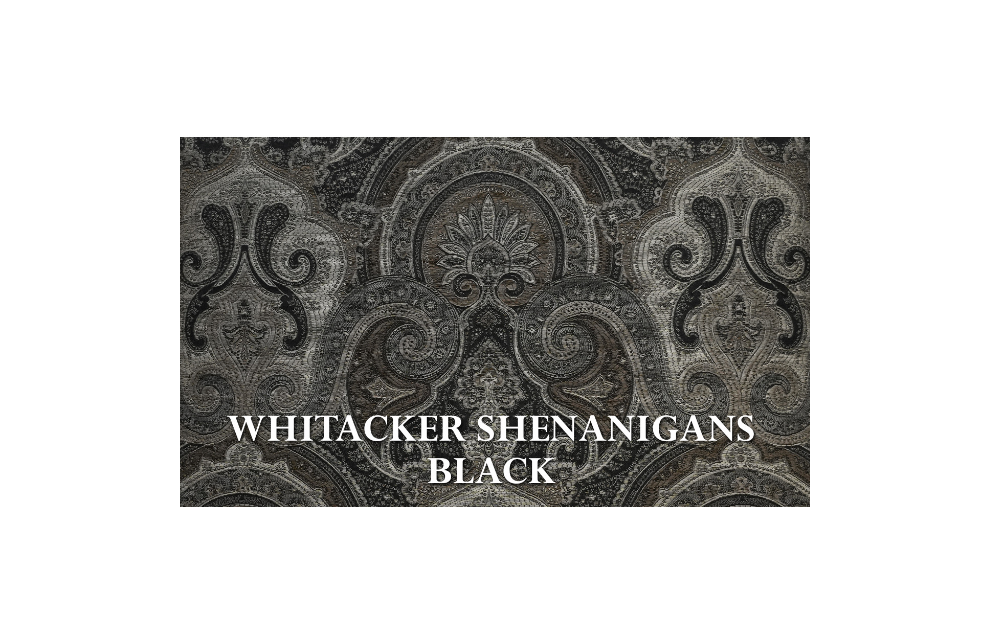 Home Decor Uluru Chair WS Black Fabric View WHITACKER SHENANIGANS BLACK