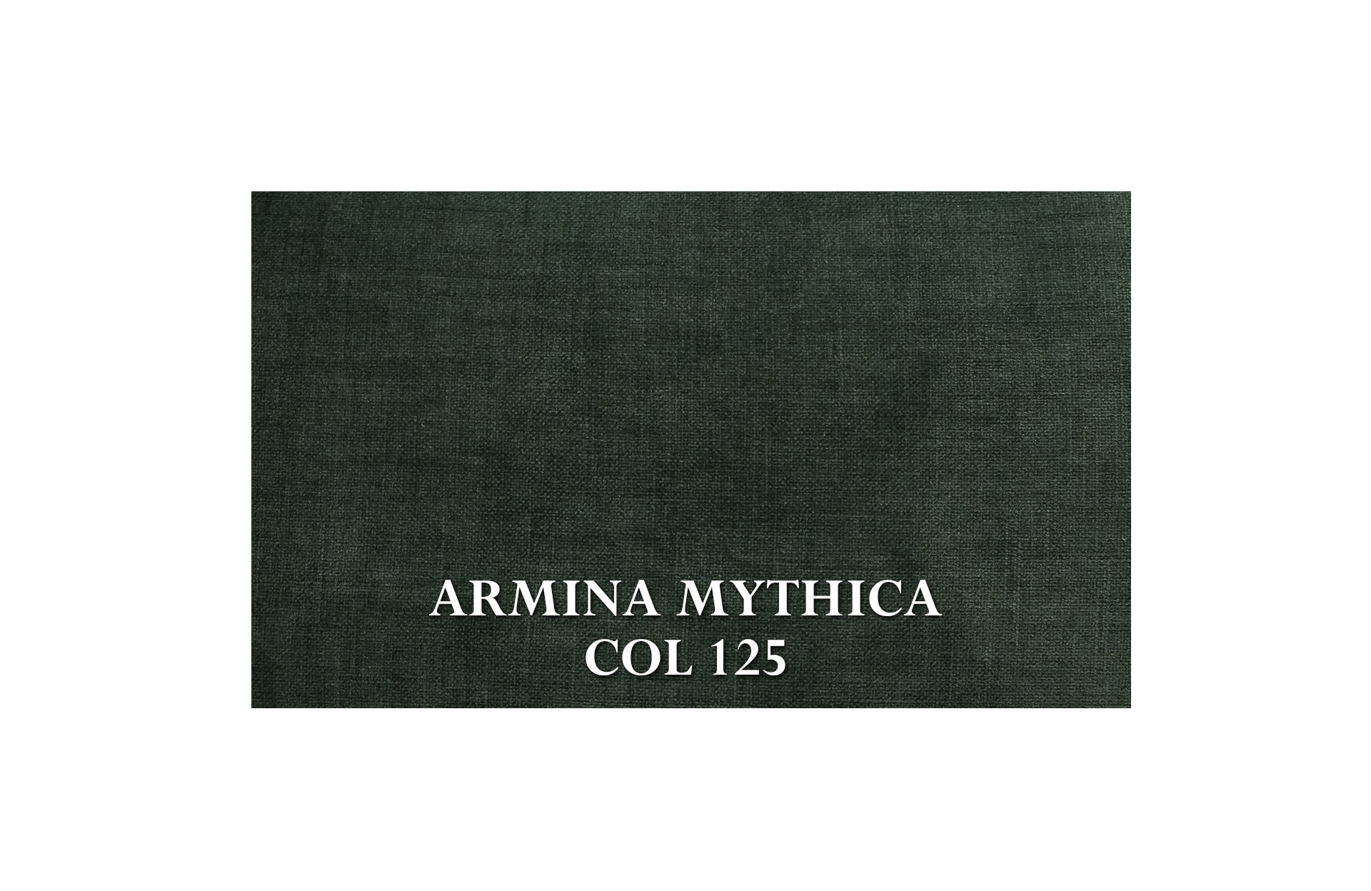 Home Decor Virginia Sofa AM-125 Fabric View ARMINA MYTHICA COL 125