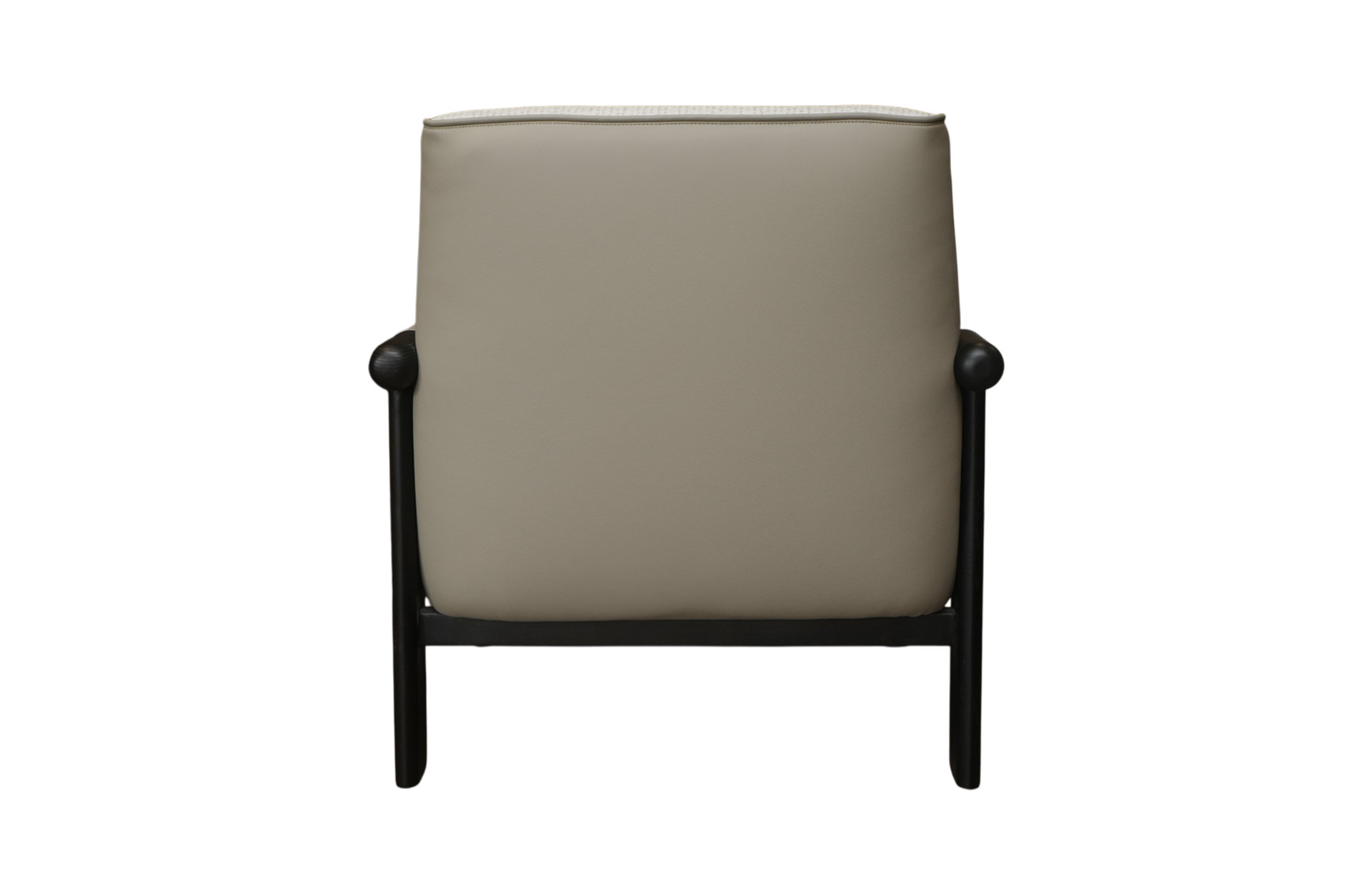 Home Decor Ojai Armchair Back View