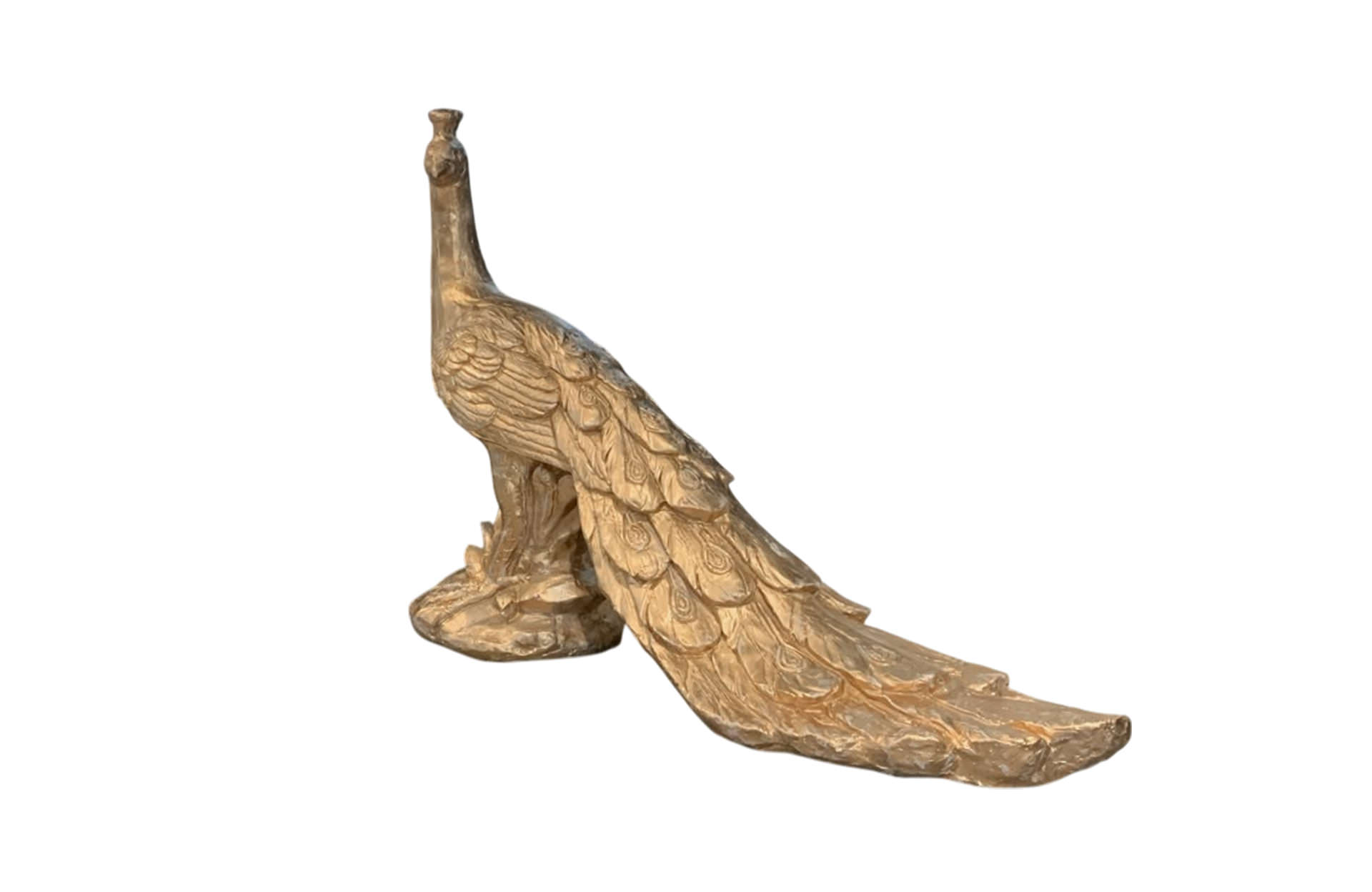 Home Decor 74718 Peacock SIde / Back View