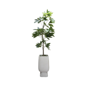 Home Decor GCR314L Vase Large & Manggis 150 Front View