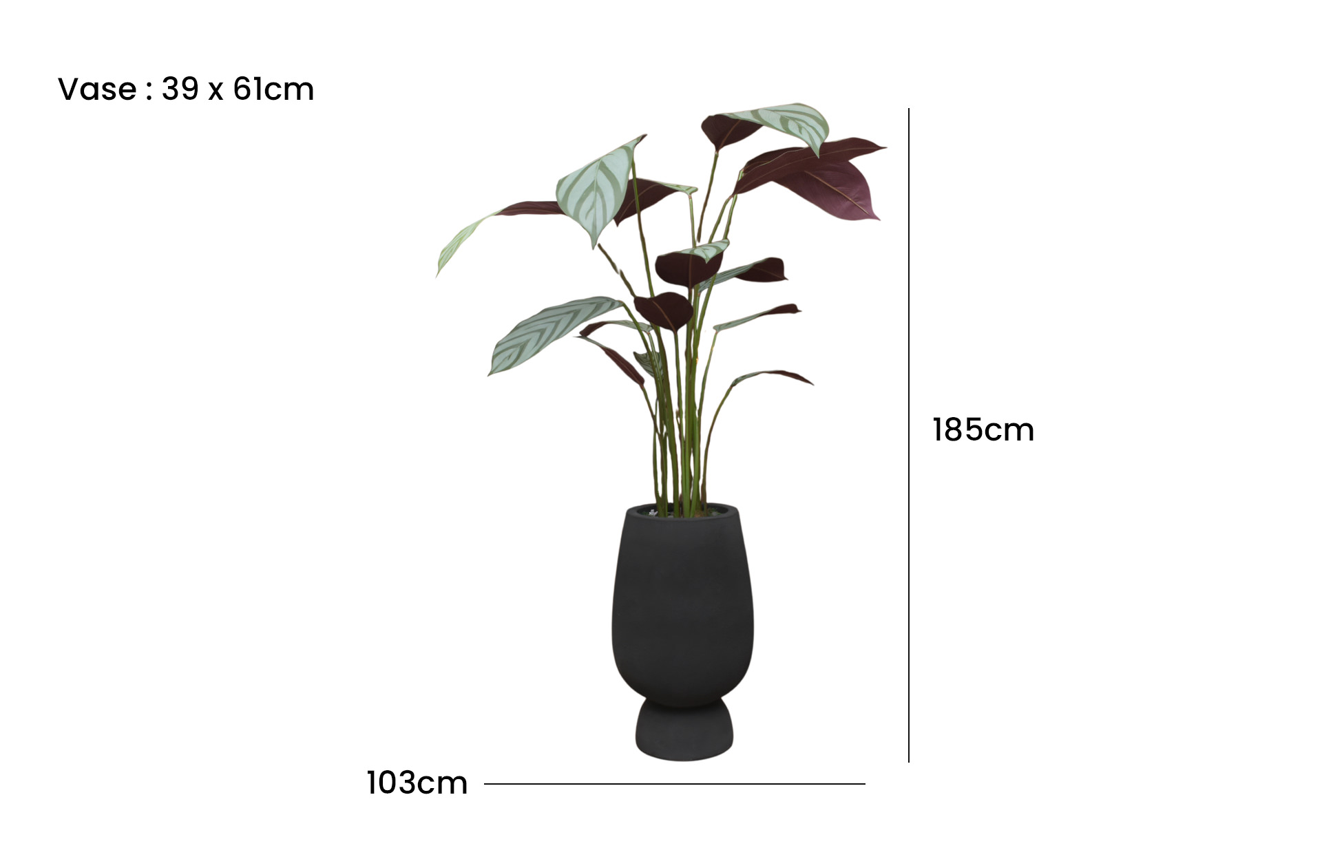 Home Decor GCR315L Vase Large & Callathea Ungu 150 Front View Size