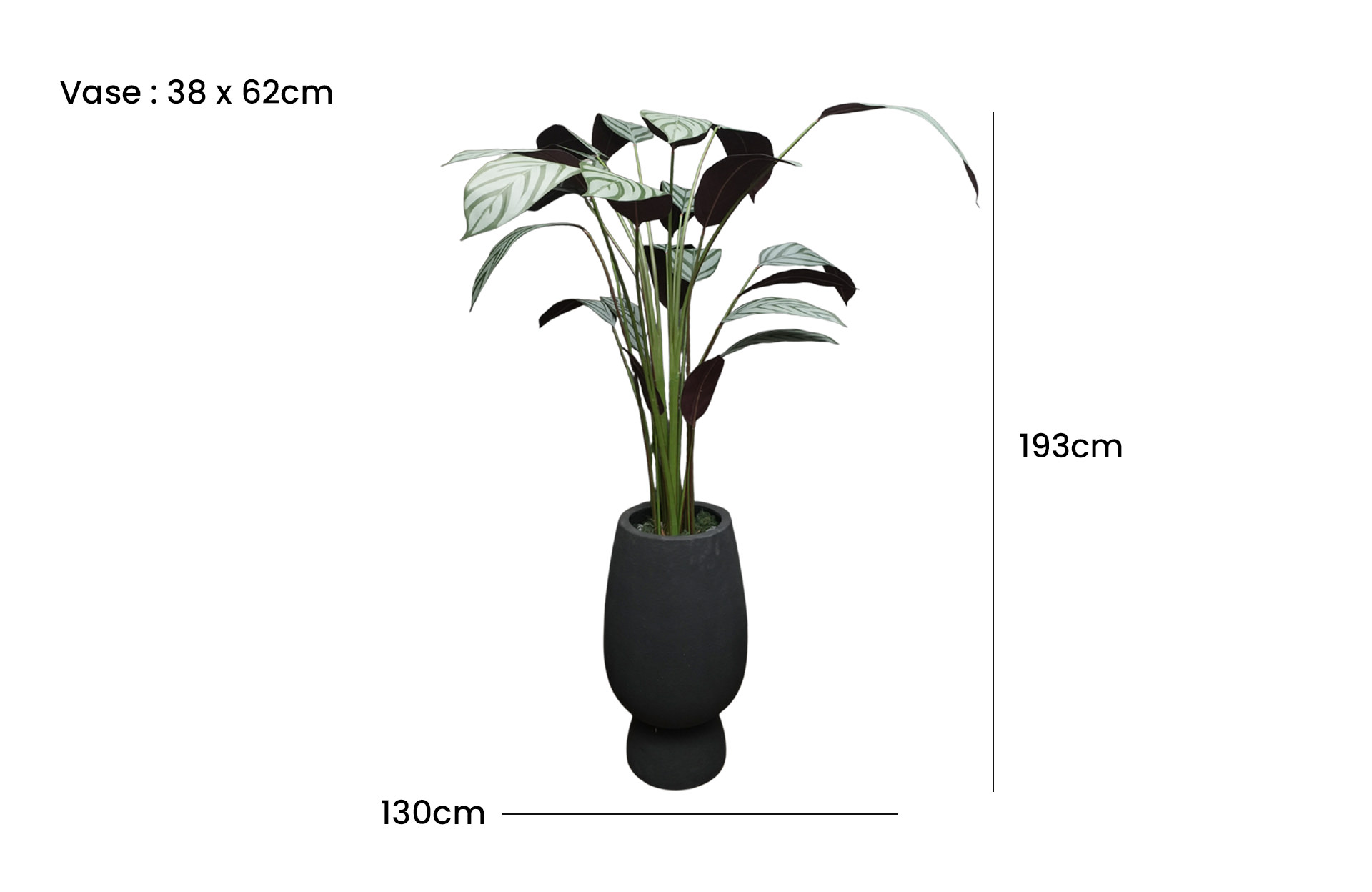 Home Decor GCR315L Vase Large & Callathea Ungu 150 B Front View Size