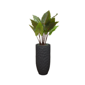 Home Decor Planter Vase Large Abstrak Black Doff & Keladi Giant T120 Front View