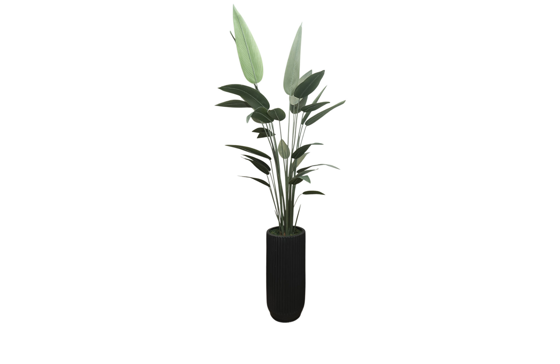 Home Decor Planter Vase Large Stripe Black Doff & Heliconia 210 Front View