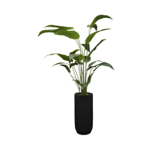 Home Decor Planter Vase Large Stripe Black Doff & Heliconia 210 B Front View