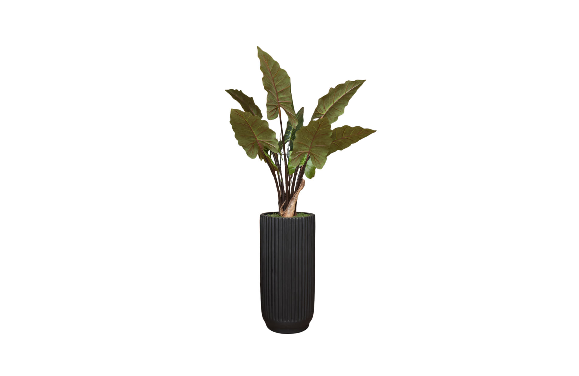 Home Decor Vase Large Black Gloss T80cm Stripe & Taro 120 Front View